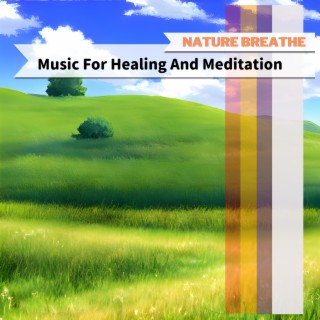 Music For Healing And Meditation