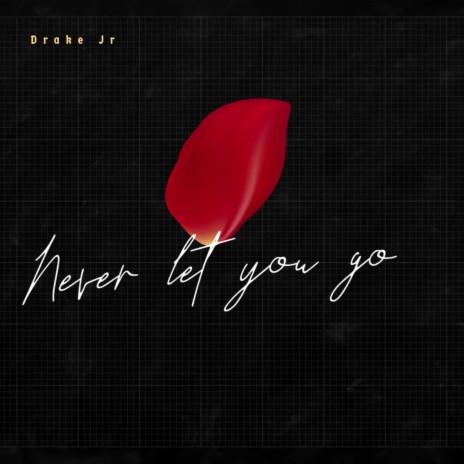 Never Let You Go | Boomplay Music