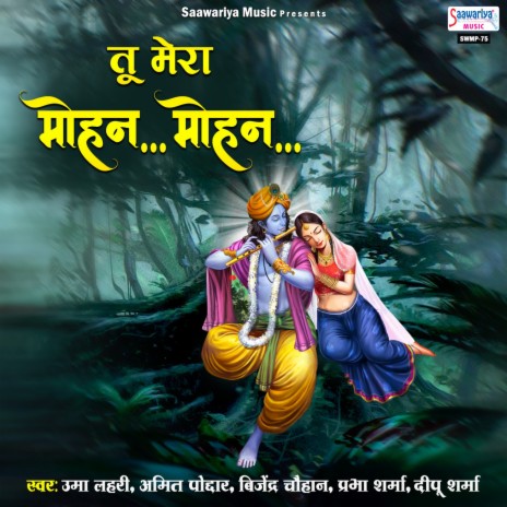 Apni Sharan Mai | Boomplay Music