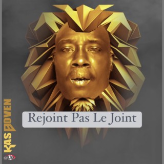 Rejoins Pas Le Joint lyrics | Boomplay Music