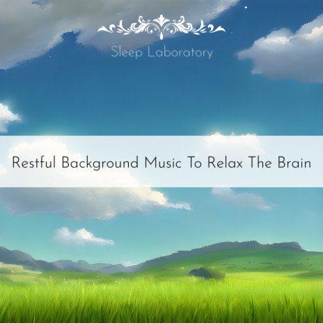 Lavender Relaxation | Boomplay Music