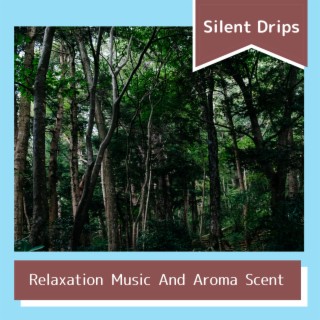 Relaxation Music And Aroma Scent