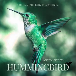 Songs For The Hummingbird