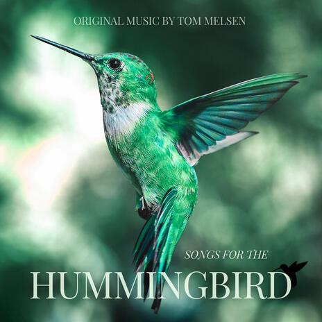 Song For The Hummingbird | Boomplay Music