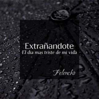 Extrañandote (El dia mas triste de mi vida) lyrics | Boomplay Music