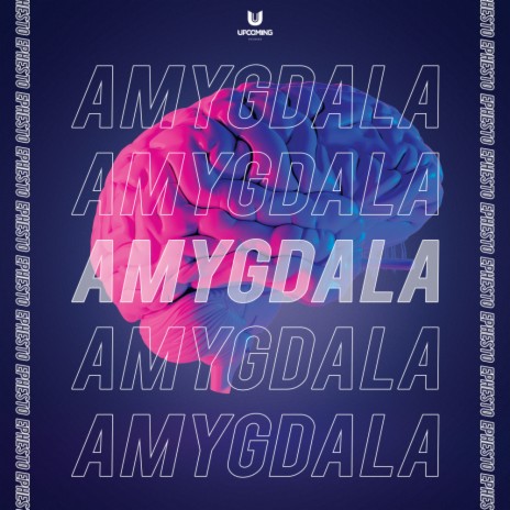 Amygdala (Original Mix) | Boomplay Music