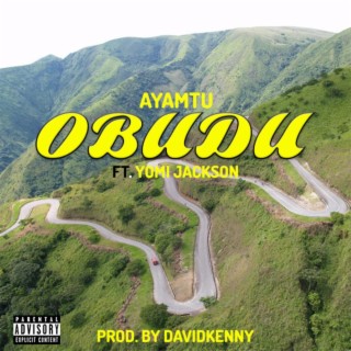 Obudu