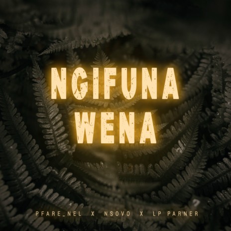 Ngifuna Wena ft. Nsovo & LP Parner