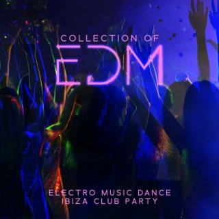 Collection of EDM Electro Music Dance Ibiza Club: Island of Chill House Party Beats
