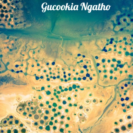 Gucookia Ngatho | Boomplay Music