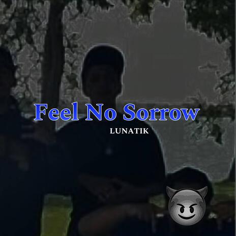 Feel No Sorrow | Boomplay Music