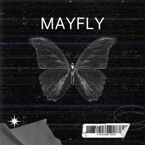 Mayfly | Boomplay Music