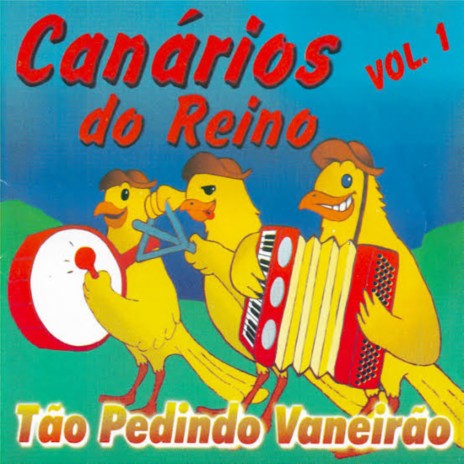 Estão Pedindo Vaneirão | Boomplay Music