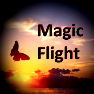 Magic Flight