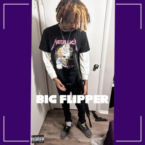 Big Flipper | Boomplay Music