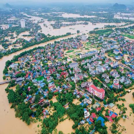 Tình Đoàn Kết Qua Cơn Bão