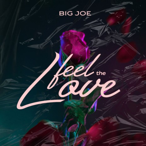 Feel the Love | Boomplay Music