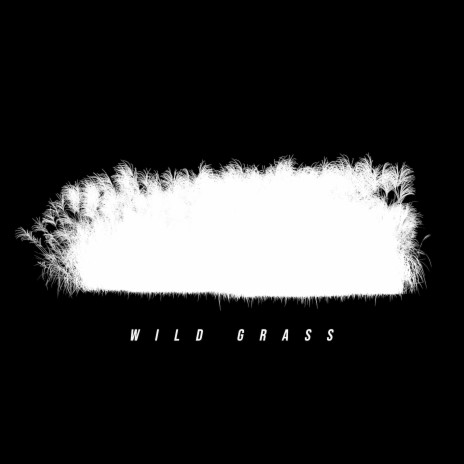 Wild Grass | Boomplay Music