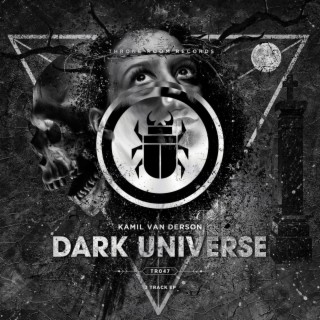 Dark Universe