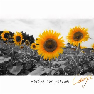 waiting for nothing