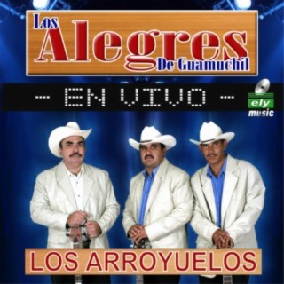 LOS ARROYUELOS