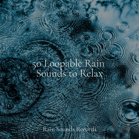 Harbor Equilibrium ft. Music For Absolute Sleep & Rain Sounds | Boomplay Music