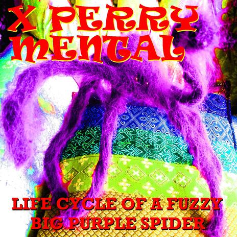 Life Cycle of a Fuzzy Big Purple Spider | Boomplay Music