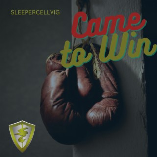 Came to Win lyrics | Boomplay Music