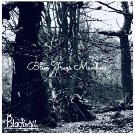 Blue Trees Meadow | Boomplay Music