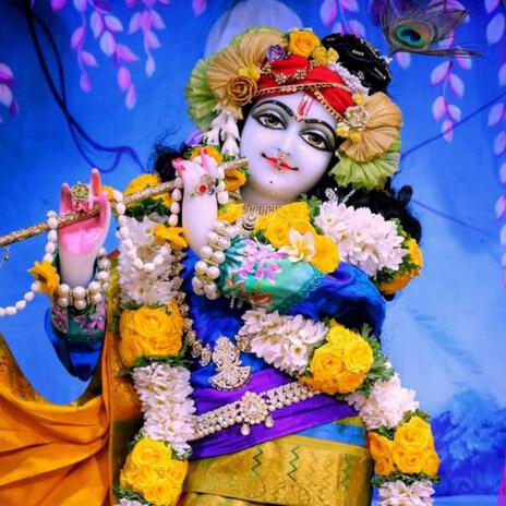 Radhe Krishna vasudeva bihari | Boomplay Music