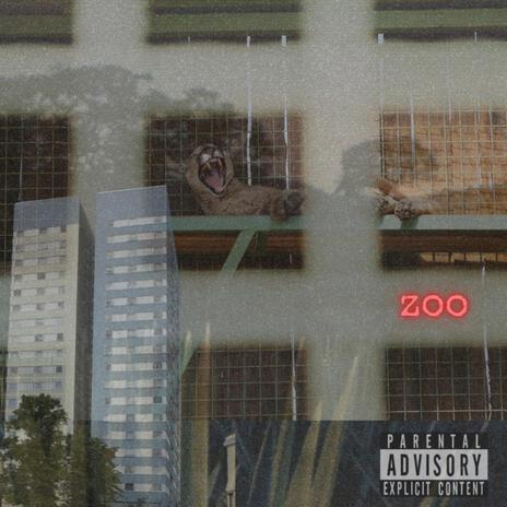 Zoo | Boomplay Music