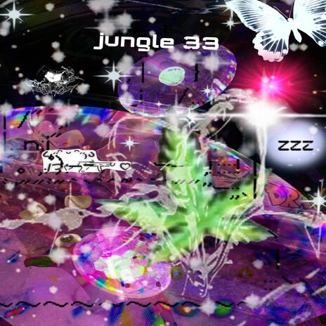 jungle 33 | Boomplay Music