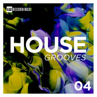 House Grooves, Vol. 04