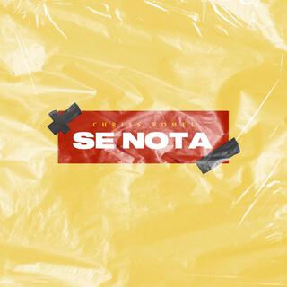 Se Nota lyrics | Boomplay Music