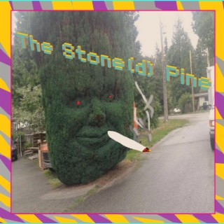 The Stone ( d) Pine