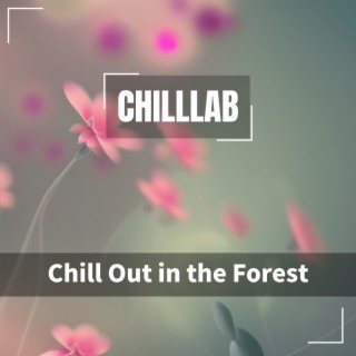 Chill Out in the Forest