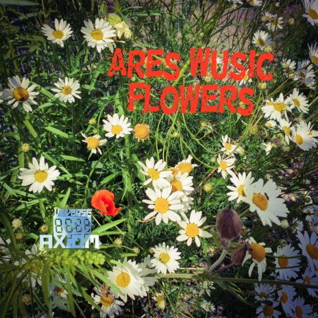 Flowers (Original Mix)