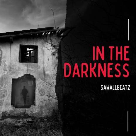 In The Darkness (with Hook) | Boomplay Music