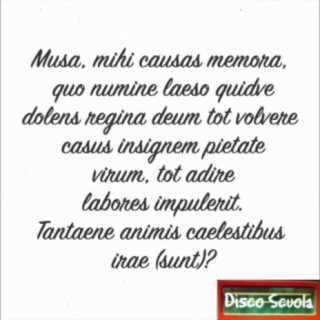 Musa, mihi causas memora… (Eneide I)