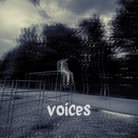 voices | Boomplay Music