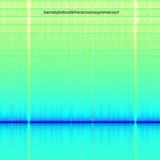 The Synthesizer Paradoxical Complexion