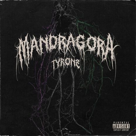 MANDRAGORA ft. Skrawl | Boomplay Music