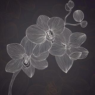 Orchids