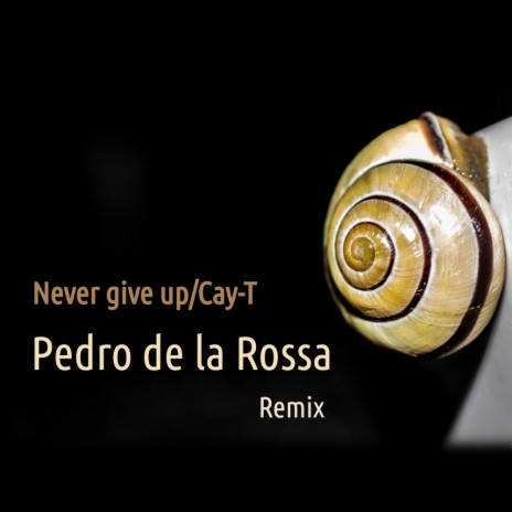 Never Give Up (Remix) | Boomplay Music