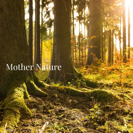 Mother Nature | Boomplay Music
