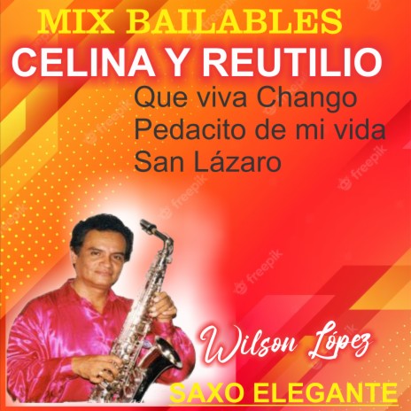 Mix Bailables/Que viva chango/Pedacito de mi vida/San Lázaro | Boomplay Music