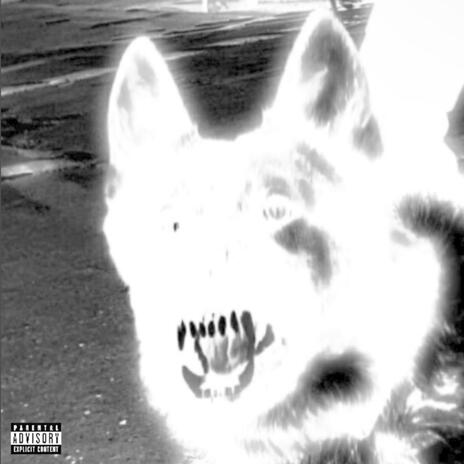 Kennel | Boomplay Music