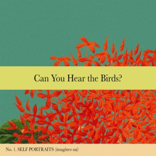 Can You Hear The Birds?