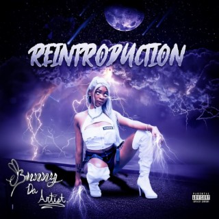 REINTRODUCTION lyrics | Boomplay Music