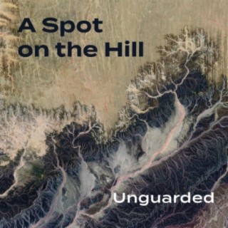 A Spot on the Hill